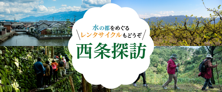 観光情報
