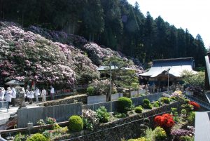 神社仏閣