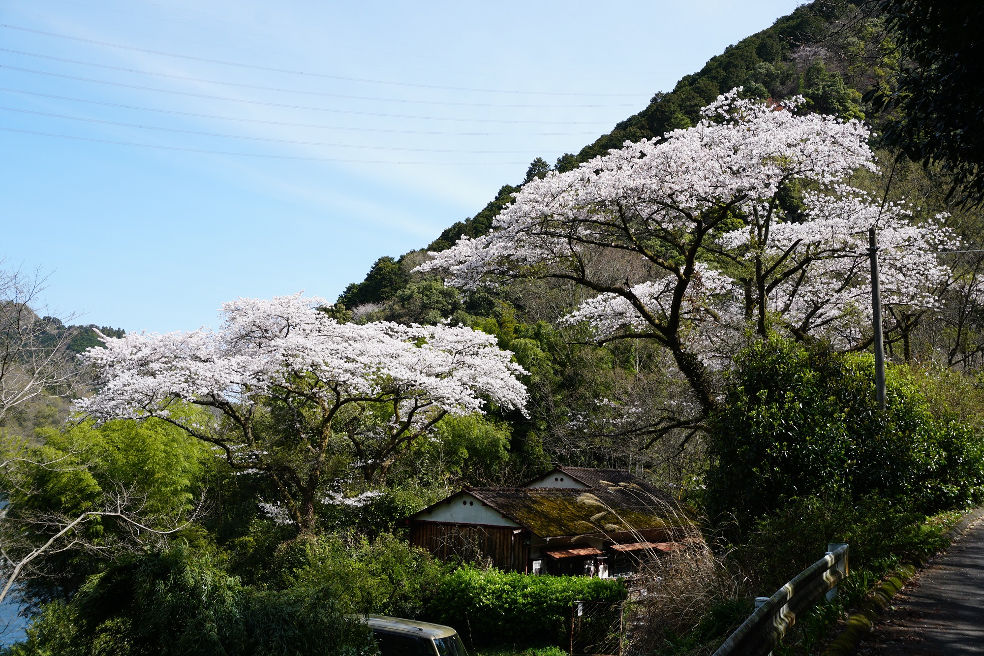 平井秀和氏「聴流荘」お花見陶芸展2026のお知らせ