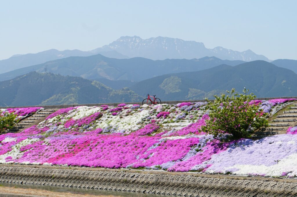 協会設立10周年のご挨拶