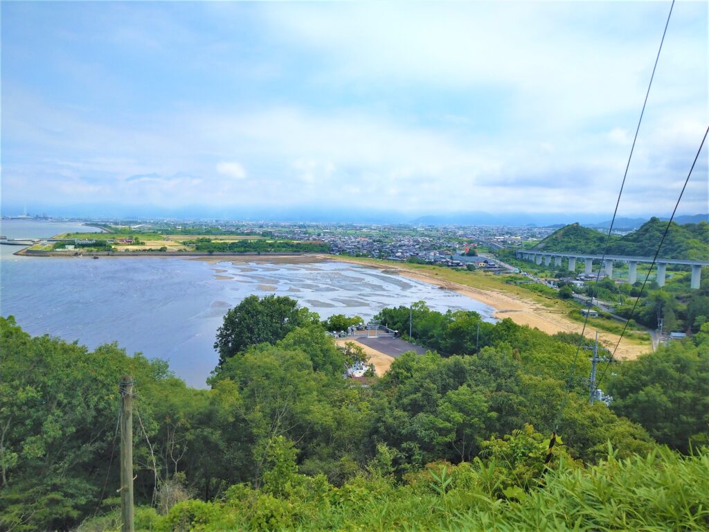 海辺の自然観察会　参加者募集中