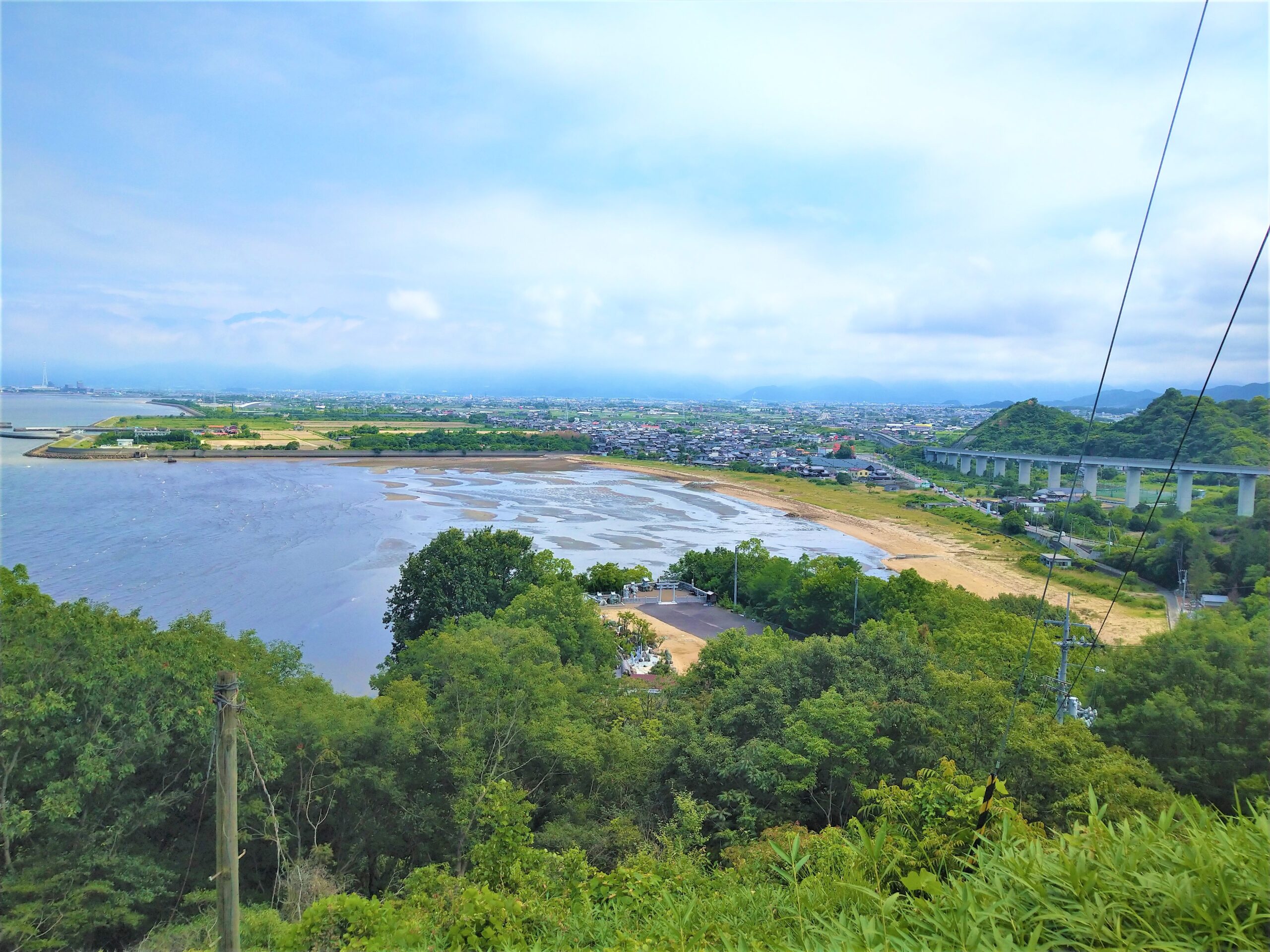 愛媛県ブルーカーボン事業『海辺の自然観察会』の参加者募集中