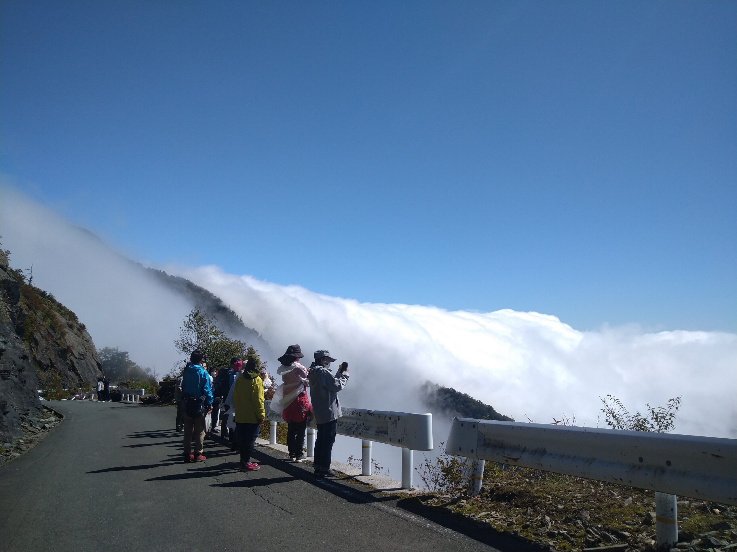 2026年度瓶ヶ森フラワーウォッチングツアー年間スケジュールのお知らせ