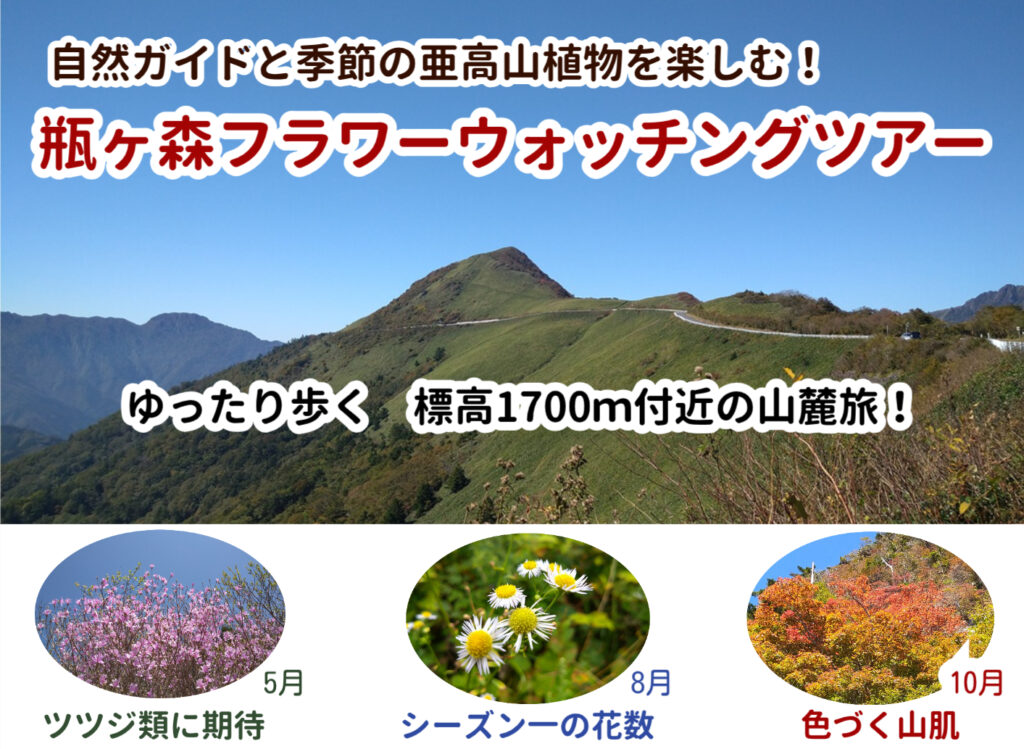 2026年度『瓶ヶ森フラワーウォッチングツアー』参加者募集中